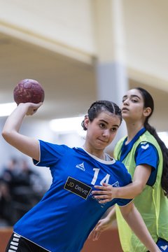 Bild 178 - wBJ TSV Ellerau - HSG Stoertal Hummeln : Ergebnis: 26:19